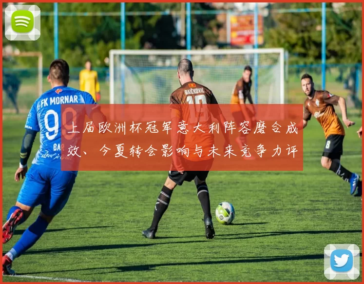 上届欧洲杯冠军意大利阵容磨合成效、今夏转会影响与未来竞争力评估
