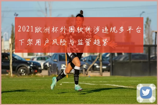 2021欧洲杯外围软件涉违规多平台下架用户风险与监管趋紧
