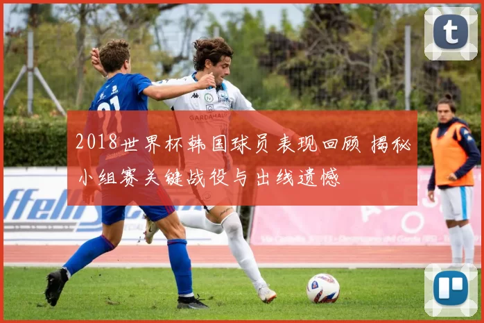2018世界杯韩国球员表现回顾 揭秘小组赛关键战役与出线遗憾